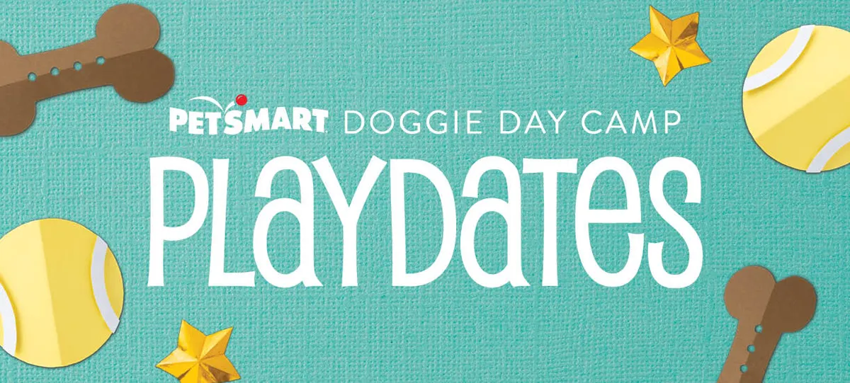Doggie Day Camp Playdates – visual asset 1