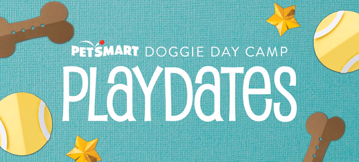 Doggie Day Camp Playdates – final work detail 1