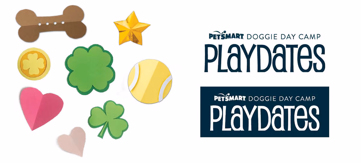 Doggie Day Camp Playdates – final work detail 2