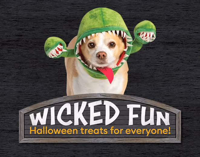 2021 Halloween Display, Visual merchandising work for PetSmart