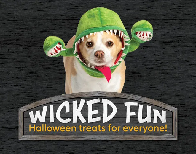 2021 Halloween Display, Visual merchandising work for PetSmart