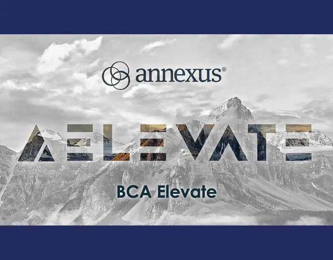 Athene "Elevate" Launch, Launch campaign work for Annexus