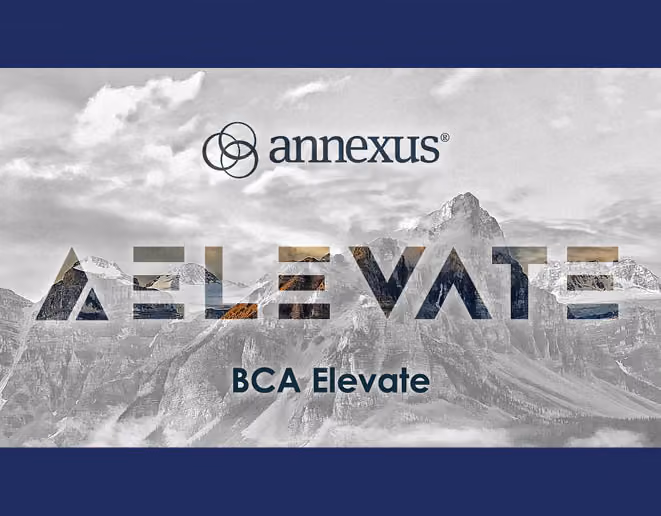 Athene "Elevate" Launch, Launch campaign work for Annexus