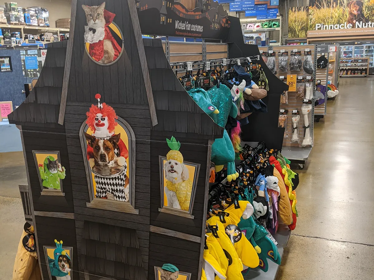 2021 Halloween Display – visual asset 5