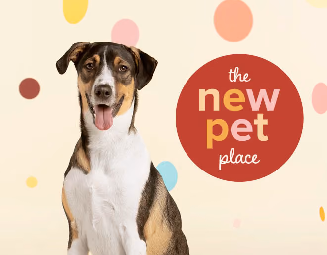New Pet Place, Retail campaign work for PetSmart