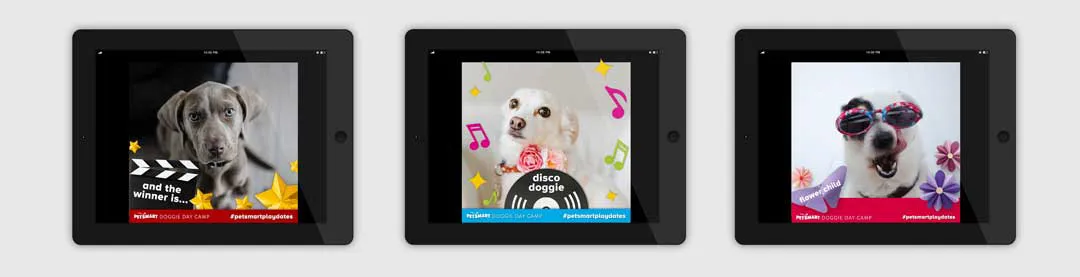 Digital Photo Frame & Social Overlays