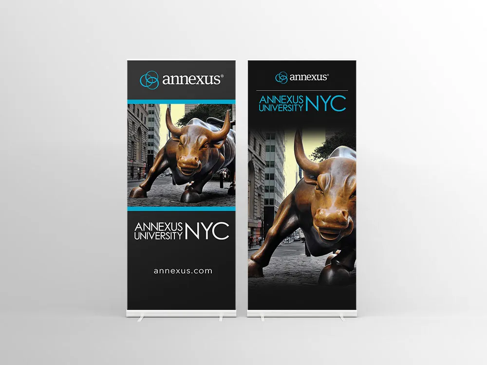 Annexus University – visual asset 21