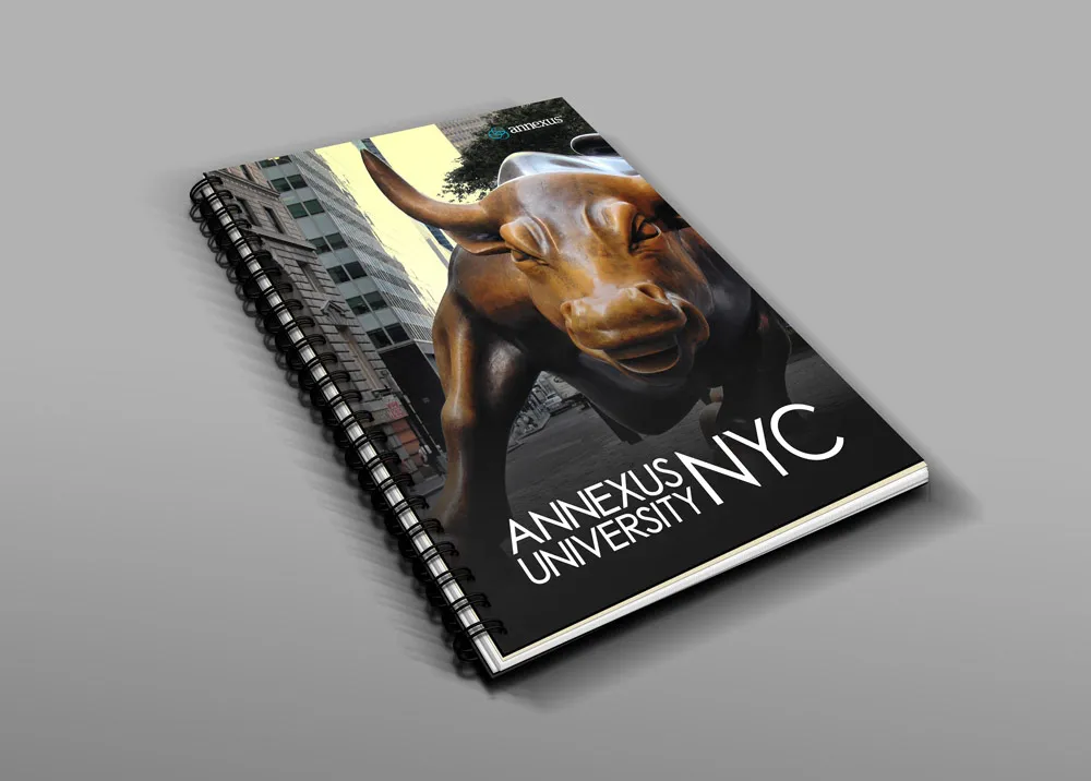 Annexus University – visual asset 20