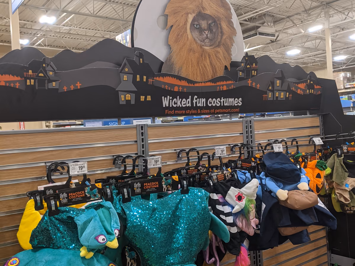 2021 Halloween Display – final work detail 3