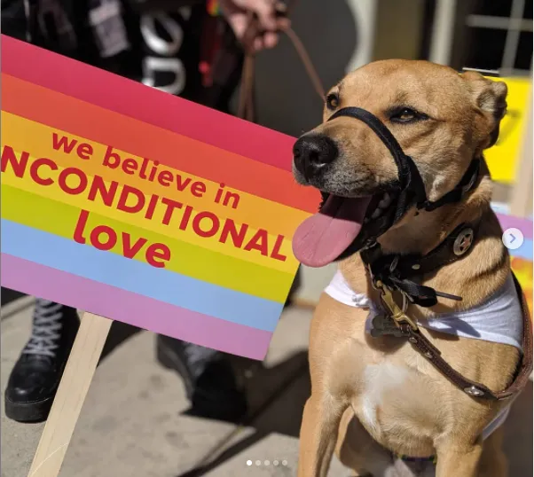 Pride At Work – visual asset 16