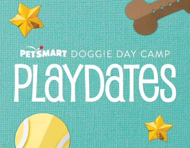 Doggie Day Camp Playdates, Service Marketing & Experiential Retail work for PetSmart
