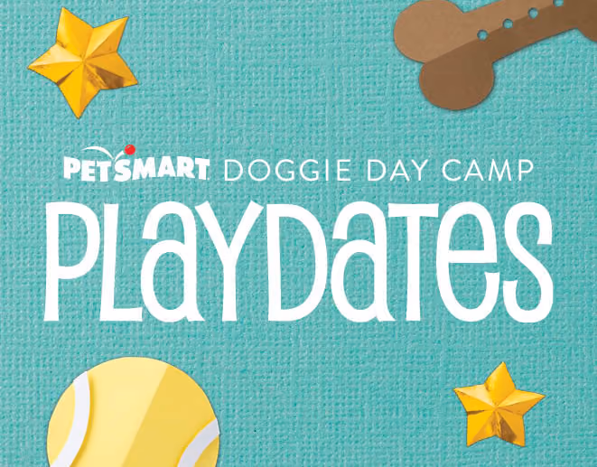 Doggie Day Camp Playdates, Promotion design work for PetSmart