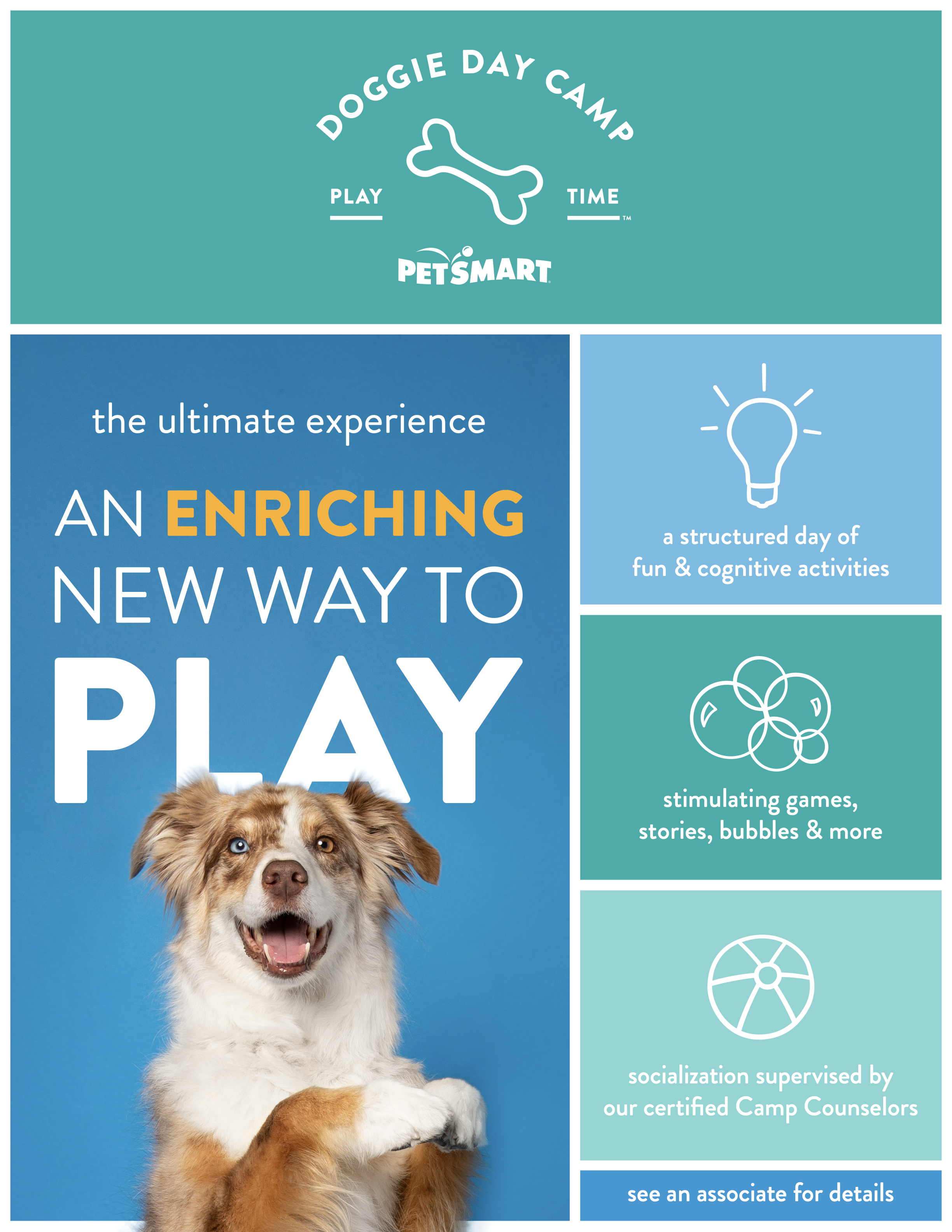 Doggie Day Camp: The Ultimate Experience, Retail Experience & Campaign work for PetSmart